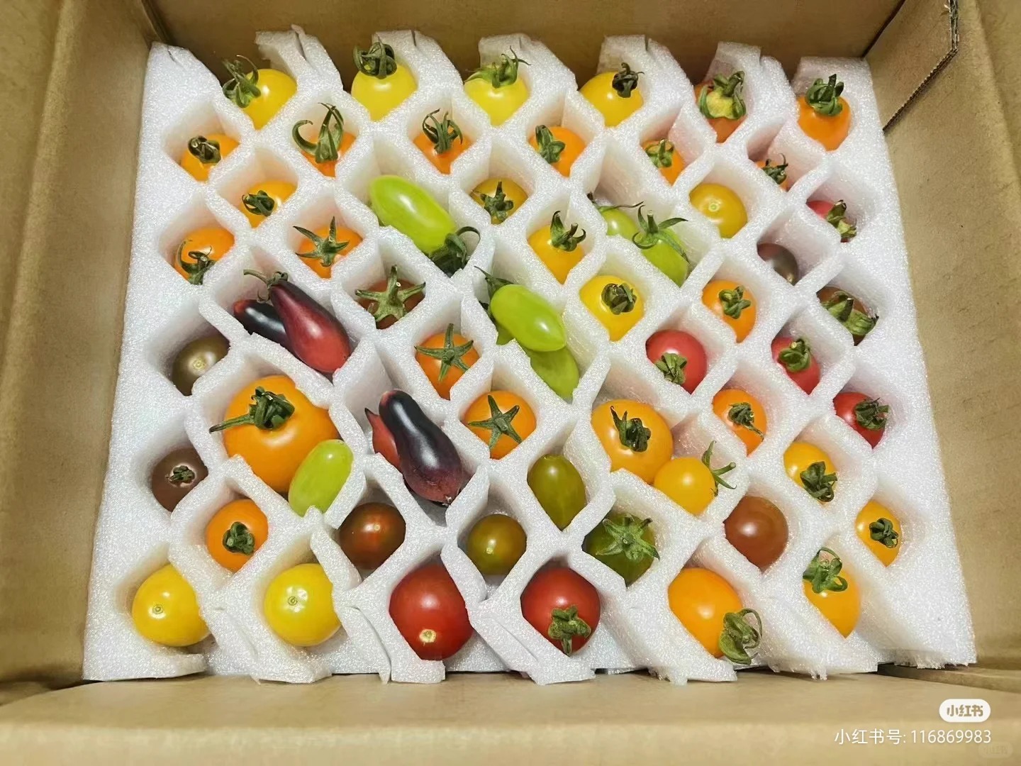 用珍珠棉打包果蔬類:確保新鮮與安全的運輸解決方案